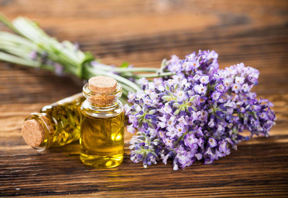 Wirkung und Verwendung von Lavendel in der Aromatherapie