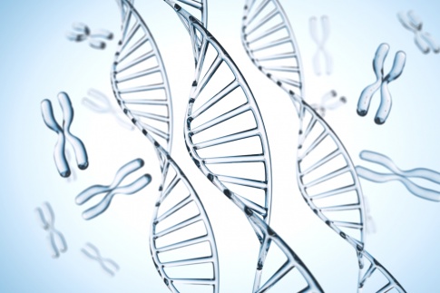 Chromosome und DNA Helix
