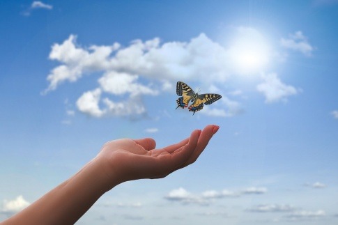 Eine Hand lässt einen Schmetterling los