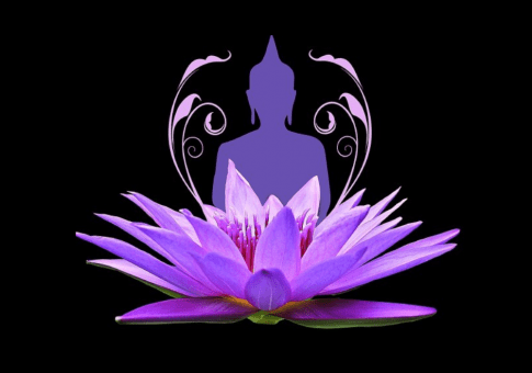 Eine Grafik zeigt eine Lotusblüte mit einem Menschen