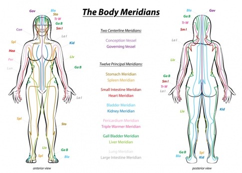 Die Energielaufbahnen sind im Körper einer Frau farblich eingezeichnet