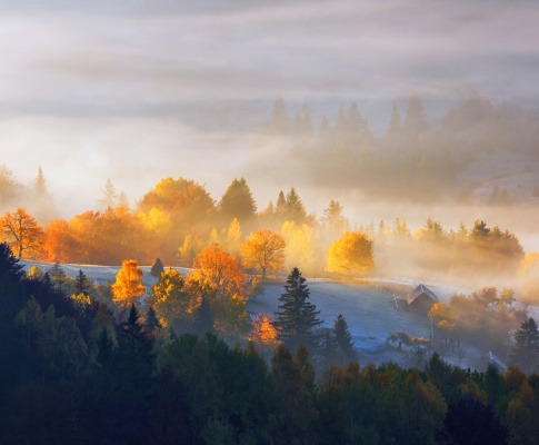 Nebelige Landschaft im November bei Neumond
