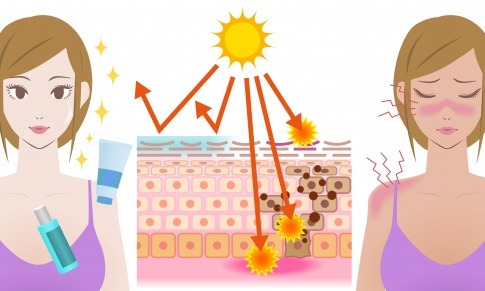 Eine Grafik zeigt den Weg der UV-Strahlung
