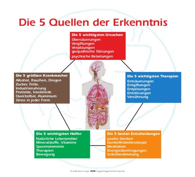 Auf einer Grafik sind die 5 Quellen der Erkenntnisse zu Parkinson 