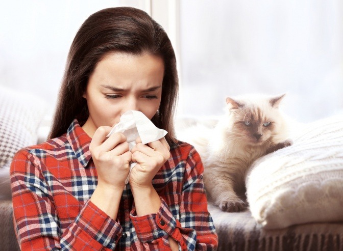 Fau niest vor einem Tier wegen Tierhaarallergie