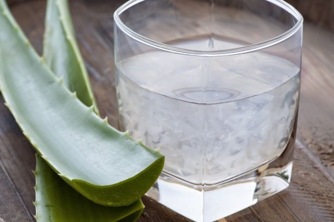 Eine Aloe Vera liegt neben einem Glas mit Aloe Vera Gel