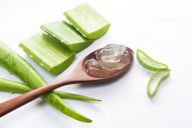 Ein Löffel mit Aloe Vera Gel liegt neben einem Aloe Vera Blatt