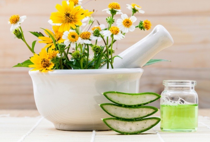 Aloe Vera liegt neben einer Schüssel