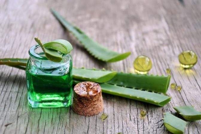 In einem Glasbehältnis befindet sich eine grüne Flüssigkeit aus Aloe Vera