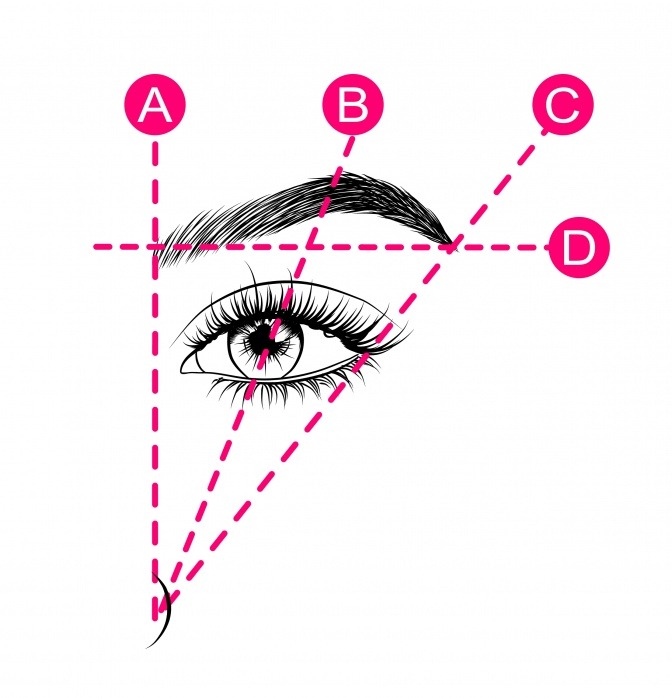 Grafik zeigt, wie die Augenbrauenform bestimmt wird