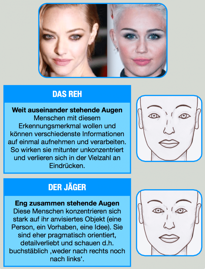 Auf einem Plakat ist der Unterschied zwischen Menschen mit weit und eng stehenden Augen erklärt