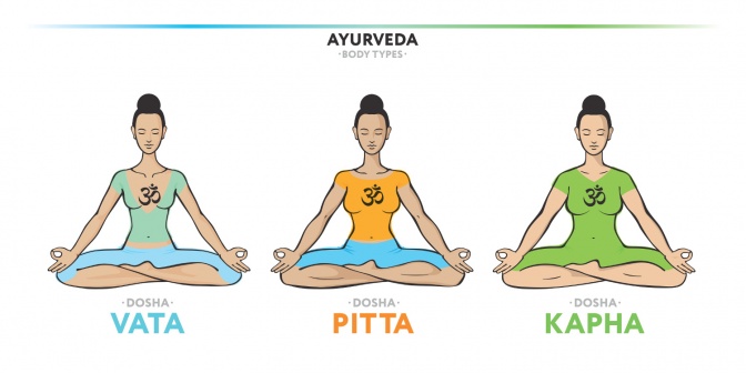 Eine Grafik zeigt die verschiedenen Dosha Typen Vata, Pitta und Kapha