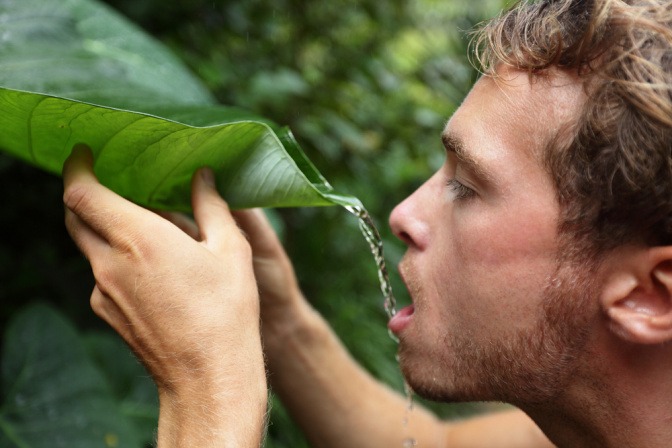 Mann im Wald trinkt Wasser von einem gefalteten Blatt. 