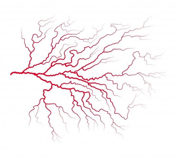 Venenscheme rot