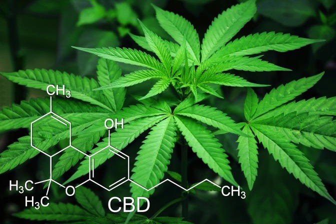 CBD Molekül vor Hanfblättern