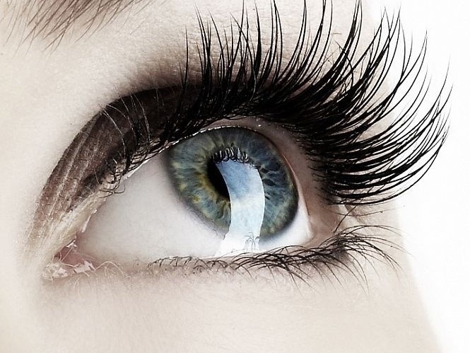 Ein grünes Auge wird von einem dichten Wimpernkranz umrahmt