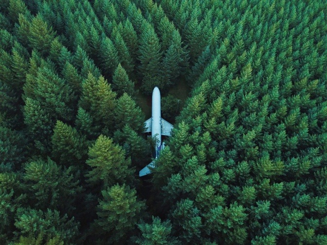 Eine Vogelperspektive auf einen Jumbo Jet, der mitten in einem dichten Wald steht.