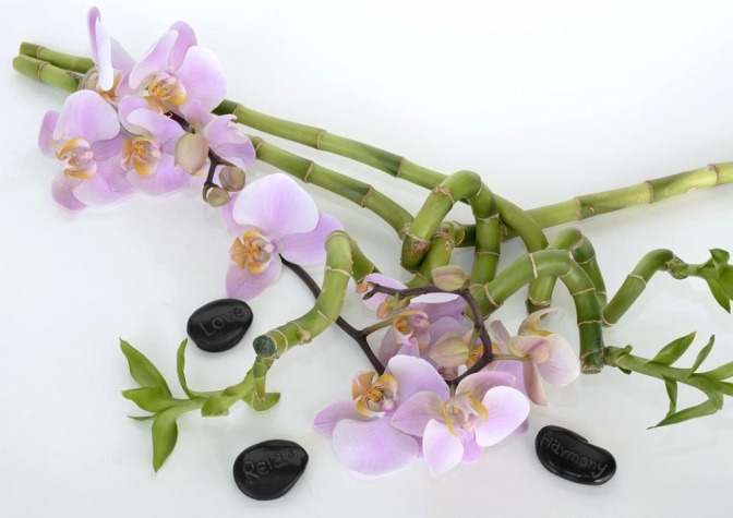 Zwischen schwarzen Steinen mit Aufschrift liegen Orchideen und Bambuszweige