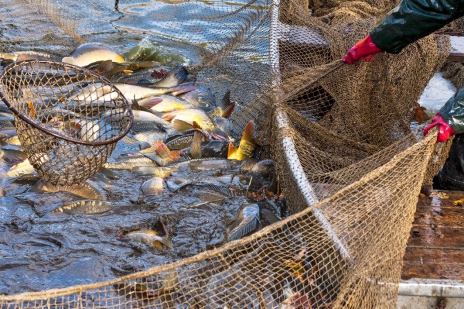 Ein Boot ist beim Fisch fangen