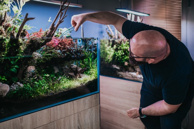 Mann reinigt Aquarium mit Fischen als Haustiere für Berufstätige