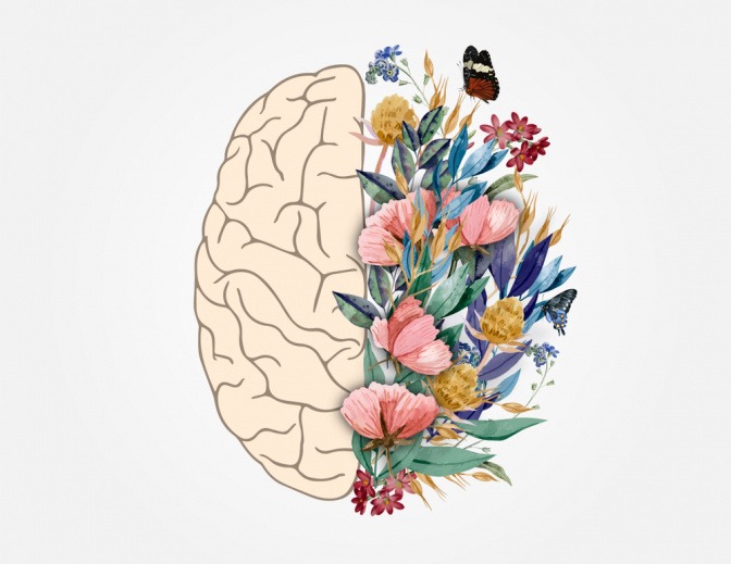 Zwei Gehirnhälften, eine davon mit Blumen. 
