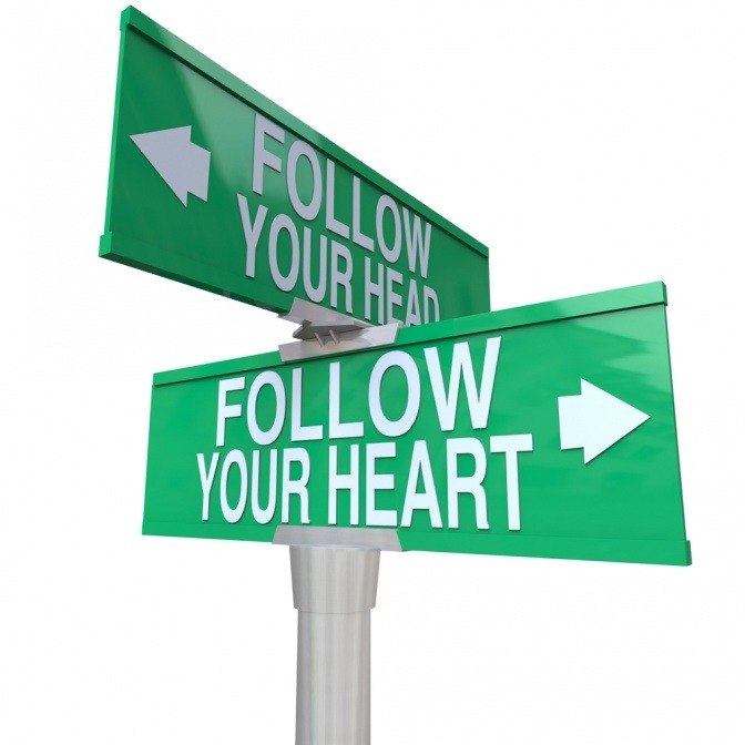 Auf zwei Wegweisern ist die Aufschrift follow your head bzw. follow your heart zu lesen