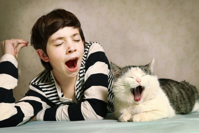 Ein Mensch liegt neben einer Katze, beide gähnen