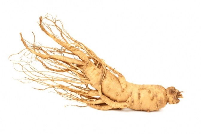 Ginseng gilt als natürliches Potenzmittel. 
