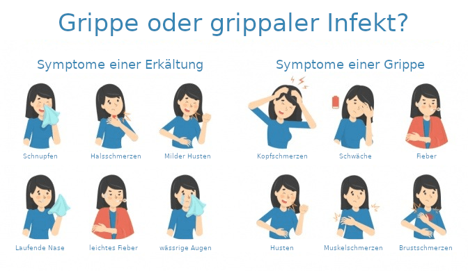 Grippe- und Erkältungssymptome