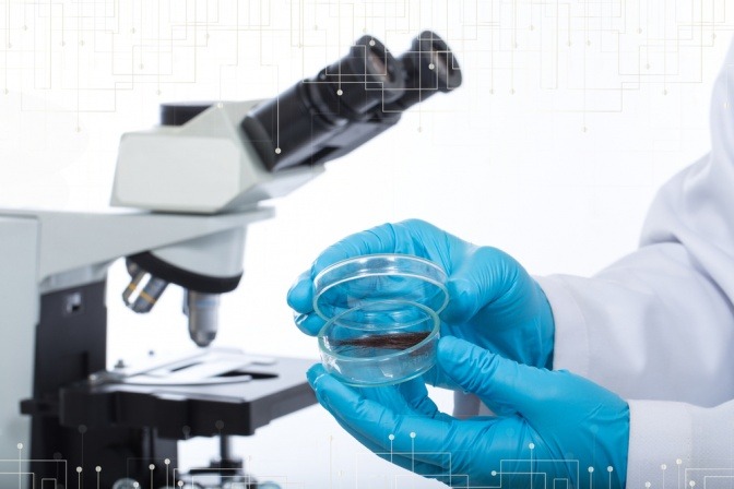 Im Labor erfolgt eine Haaranalyse