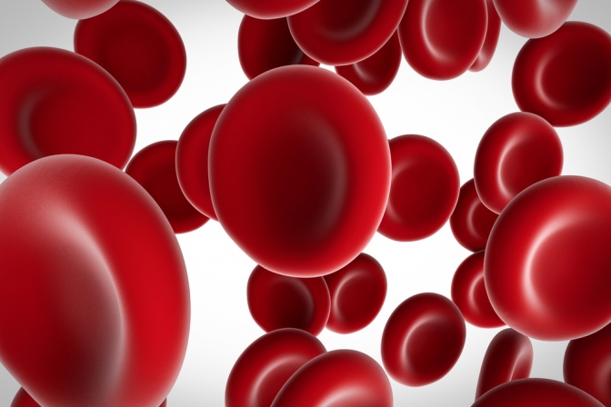 Rote Blutkörperchen, Hämoglobin