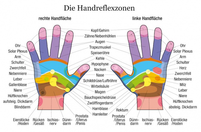 Grafik zeigt die Reflexzonen auf den Händen