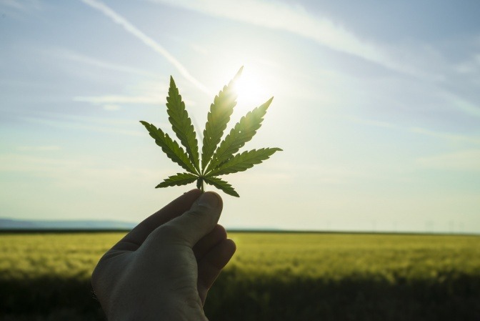 Eine Hand hält ein Marihuana-Blatt beim Sonnenuntergang gegen den Himmel.