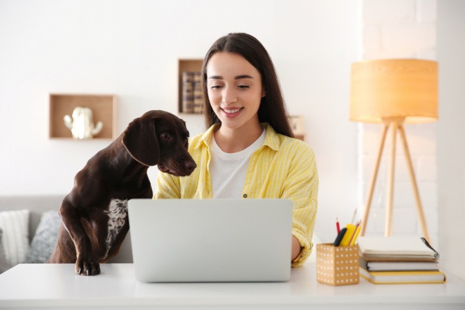Haustiere für Berufstätige - Frau arbeitet am Laptop, ihr Hund beobachtet sie