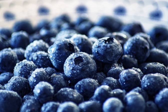 Heidelbeeren, die als Superfood gelten, sind nass