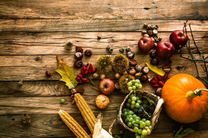 Kürbis, Trauben und Äpfel in einem Herbstkorb