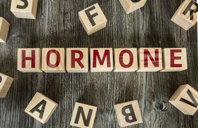 Das Wort Hormone auf Holzwürfeln geschrieben.