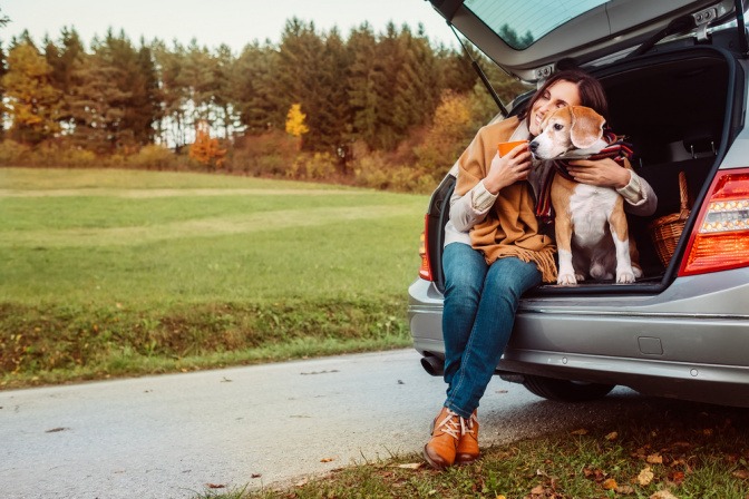 Hund mit Frau im Kofferraum