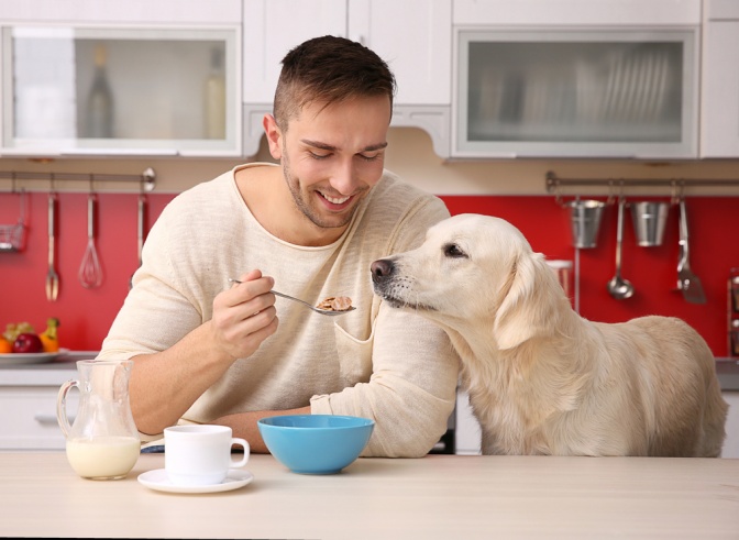 Mann sitzt mit seinem Hund in der Küche