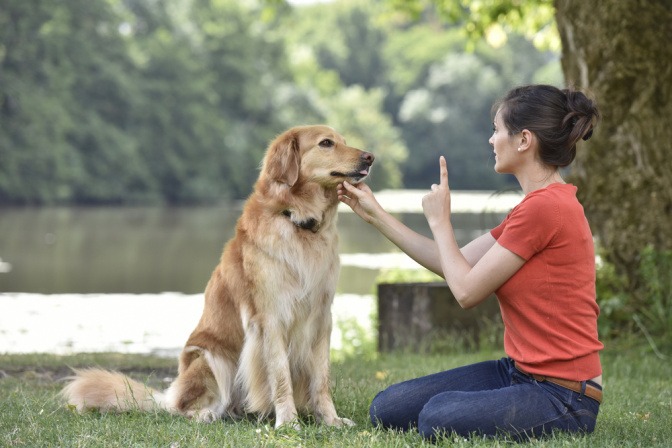 Frau macht Hundetraining im Park und ermahnt ihren Hund.