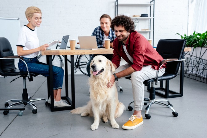 Hund in einem Büro mit mehreren Mitarbeitern