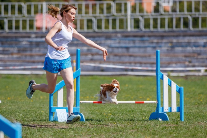 Frau durchläuft mit ihrem Hund einen Agility Parcours.