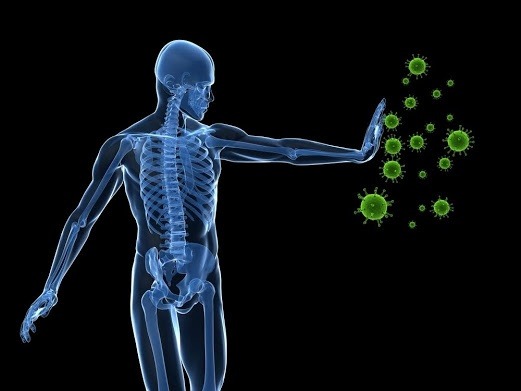 Eine Grafik zeigt einen Menschen mit gutem Immunsystem, der sich gegen Viren wehrt