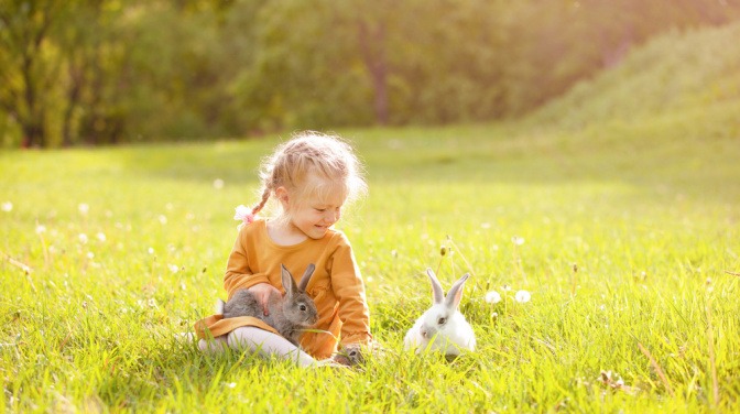 Kleines Mädchen spielt mit zwei Kaninchen auf einer Wiese.