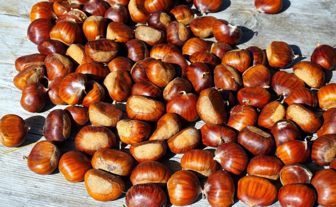 Viele Kastanien liegen auf einem weißen Holzbrett