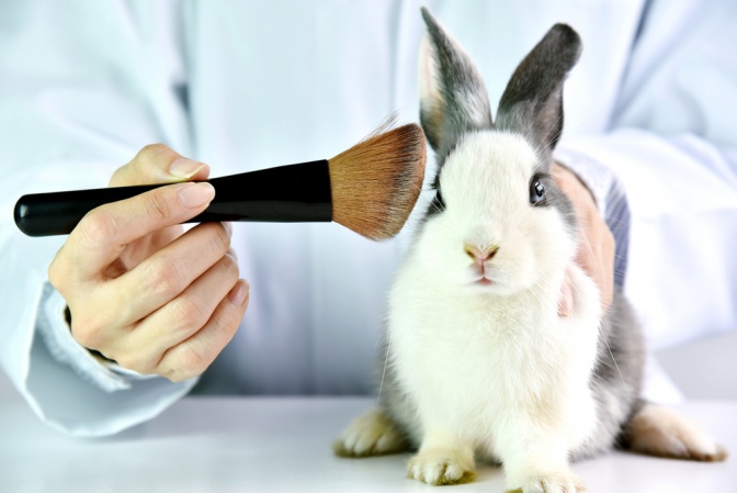 Vegane Kosmetik schützt Tiere