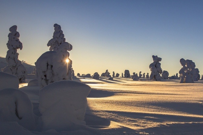 Eine Landschaft im Winter ist beleuchtet