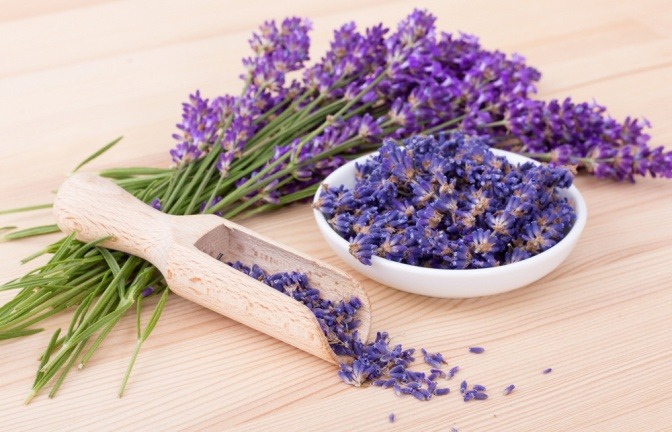 Wie duftig gute Lavendel Wirkung Haut beruhigt und verbessert...