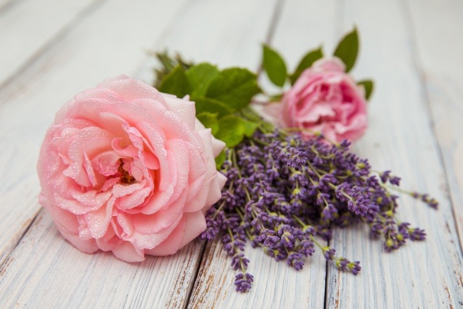 Lavendel und Rose