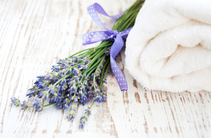 Lavendel